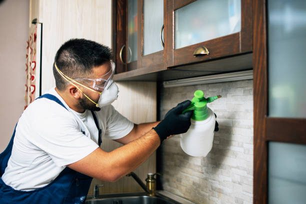Reliable Algonac, MI Pest Control Solutions