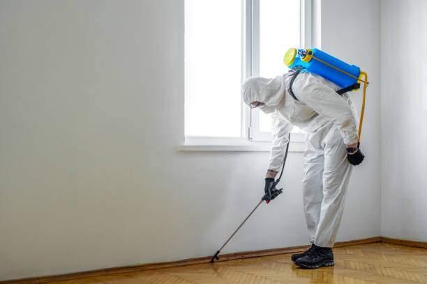 Best Pest Control Near Me  in Algonac, MI