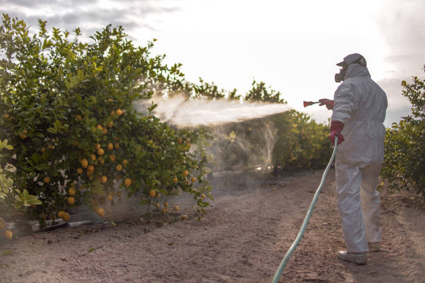 Best Termite Control Services  in Algonac, MI