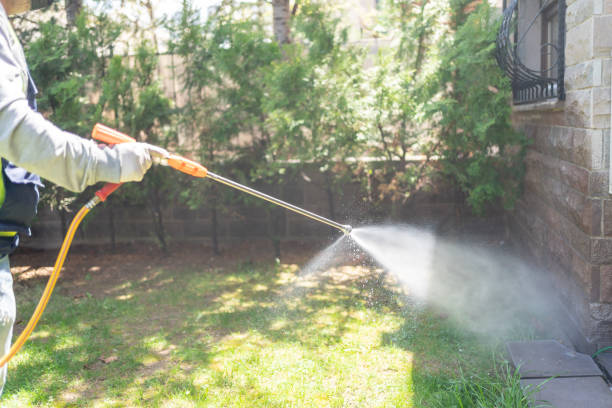 Best Best Pest Control Companies  in Algonac, MI