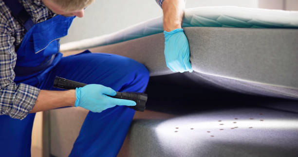 Best Pest Prevention Services  in Algonac, MI