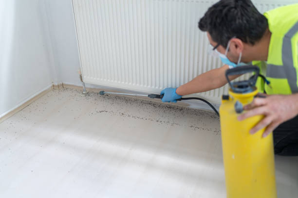 Best Mosquito Control Services  in Algonac, MI